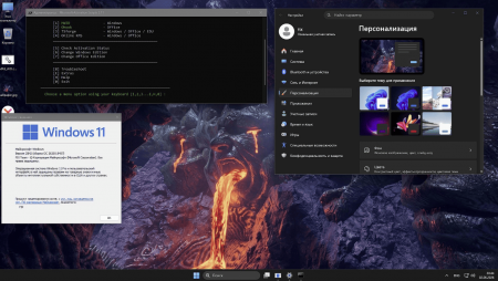 Windows 11 25H2 Pro