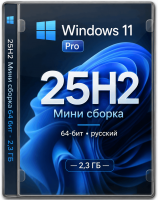 Windows 11 Pro 25H2